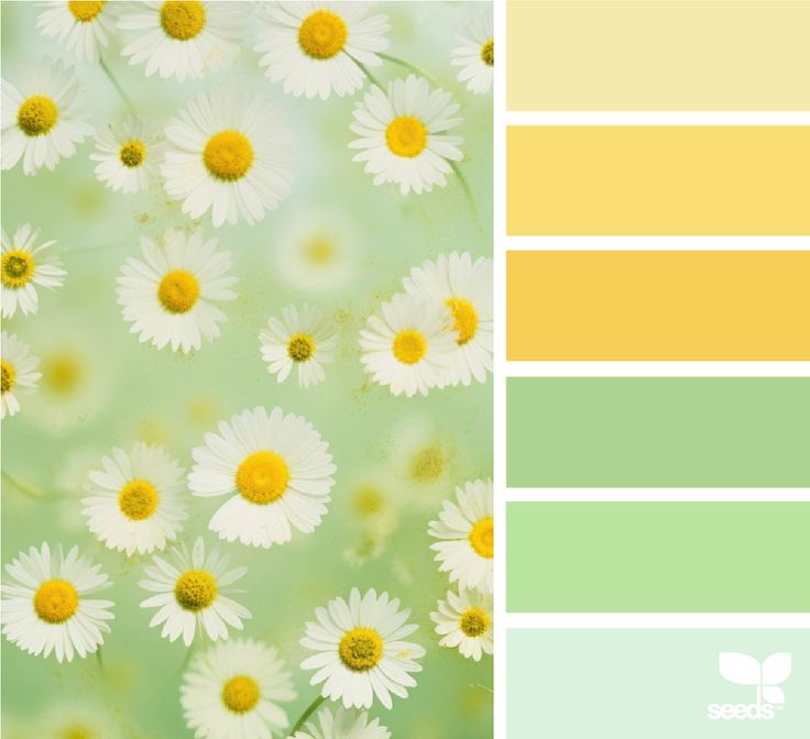 the color scheme is green, yellow and white with daisies on it's side