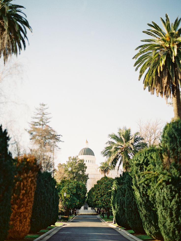 an empty street lined with palm trees in front of a domed building on a clear day