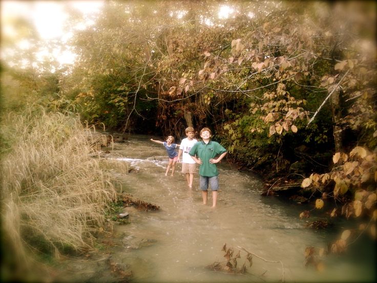 three children are walking in the water near some bushes and trees with their arms around each other