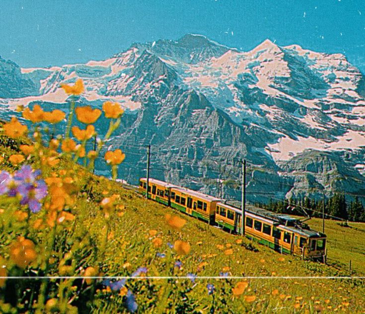 a train traveling through a lush green hillside covered in snow capped mountain peaks and wildflowers