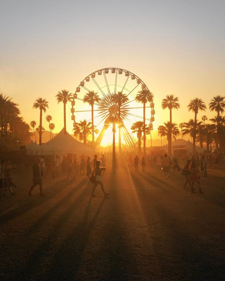 a ferris wheel in the distance with palm trees and people walking around it at sunset