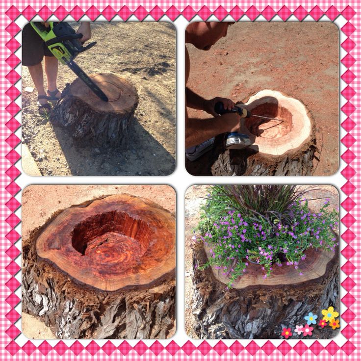 four different pictures show the process of cutting down a tree stump with a chainsaw