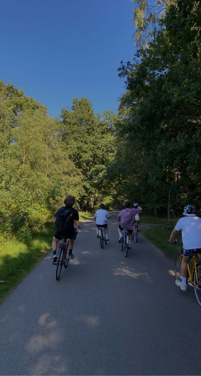 several people riding bicycles down a road in the woods on a sunny day with blue skies