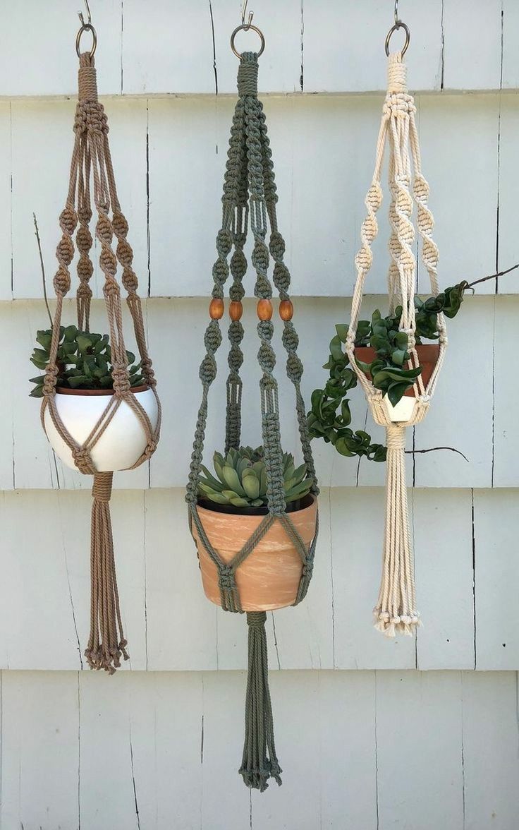 macrame plant hangers with succulents and plants hanging from them