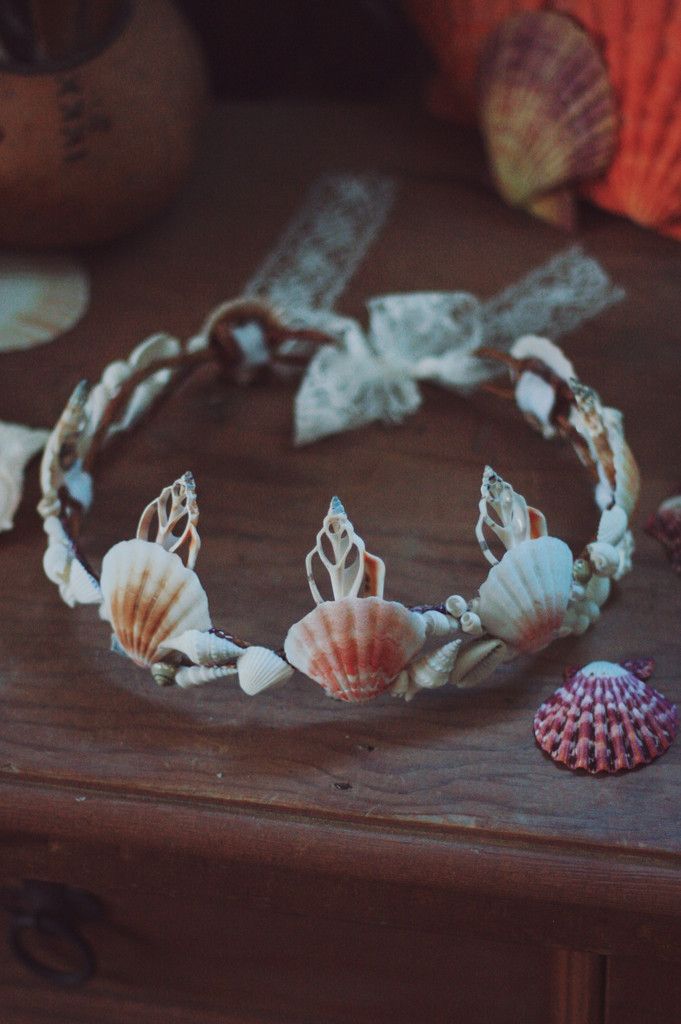 seashells and other sea shells on a wooden table