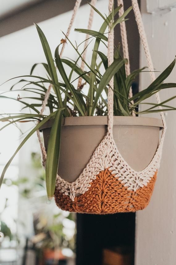 a potted plant hanging from the side of a wall