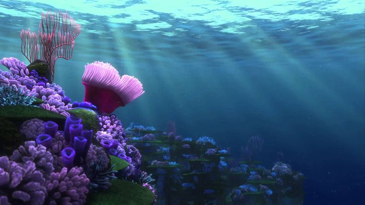 an underwater scene with corals and seaweed