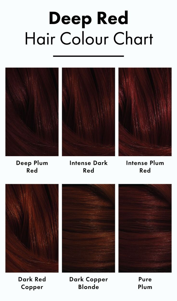 Expensive Red Hair Color, Darkest Red Hair Color, Cool Winter Red Hair, True Autumn Red Hair, Red Hair For Deep Winter, Intense Dark Red Hair, Natural Red Hair Dark, Cute Hair Colors For Brunettes Dyes, Different Shades Of Red Hair Color