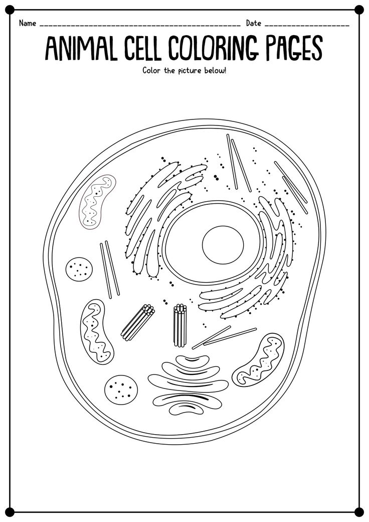 an animal cell coloring page is shown in black and white with the words animal cell coloring pages