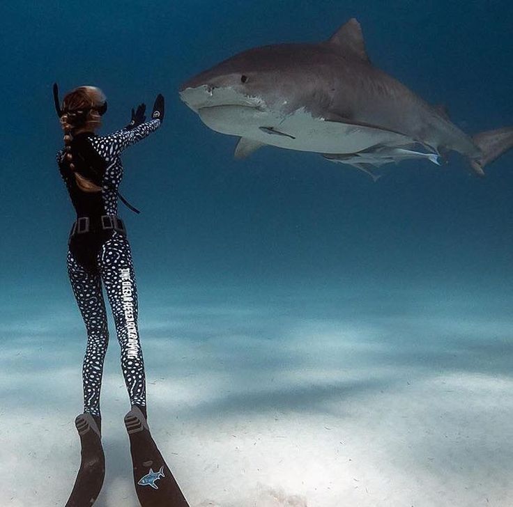 a woman is standing in the water with a shark behind her and holding a camera