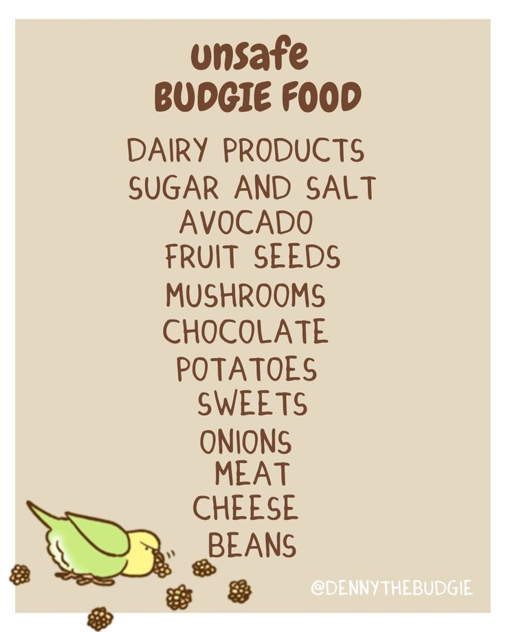 a poster with the words unsafe budget food