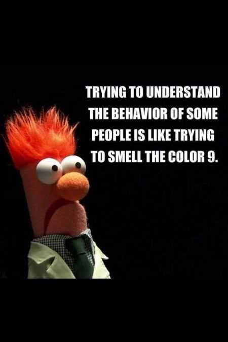 an angry bird with red hair and the caption saying, trying to understand the behavior of some people is like trying to smell the color 9