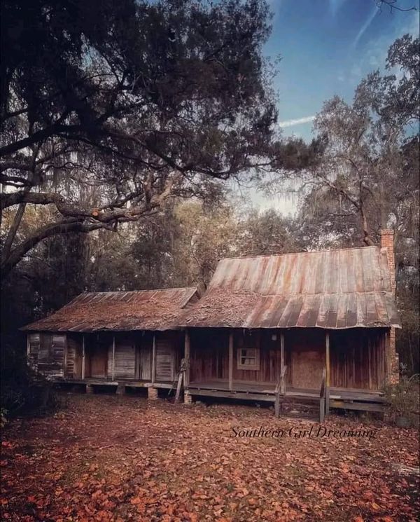 an old wooden cabin in the woods with leaves on the ground