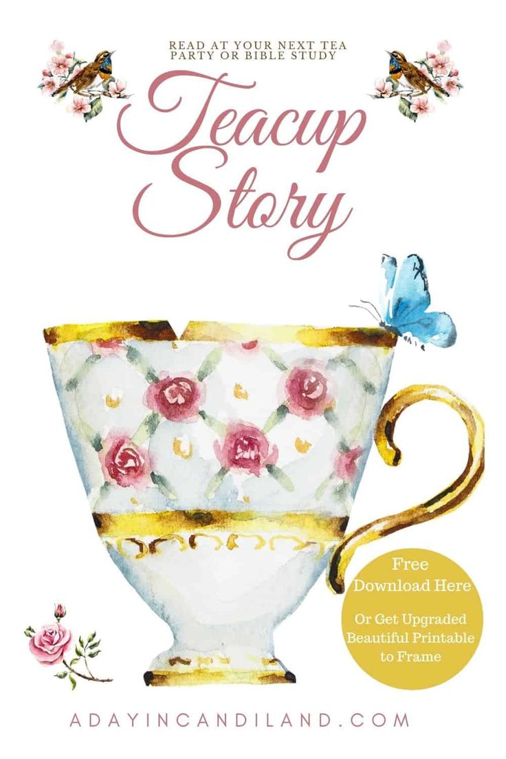 the teacup story book cover with an image of a cup and butterfly on it