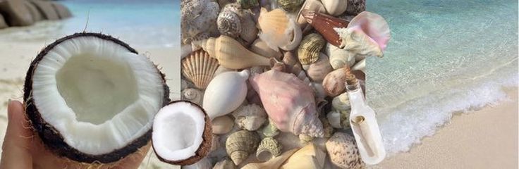 a person holding up a coconut next to the ocean with seashells on it