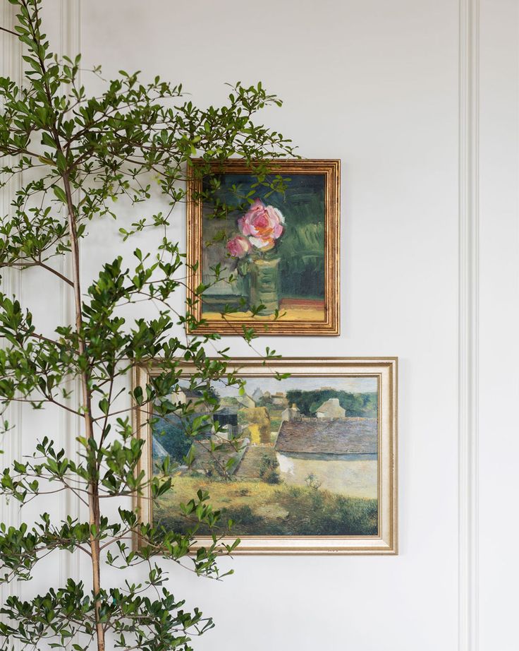 two paintings hang on the wall next to a potted plant