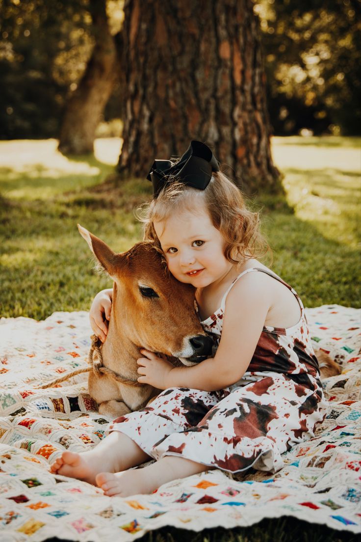 Calf Mini Session, Calf Photoshoot With Kids, Mini Cow Photo Session, Cow Minis Photoshoot, Baby And Cow Photoshoot, Mini Cow Photoshoot, Cow Mini Session, Calf Photoshoot, Cow Photoshoot