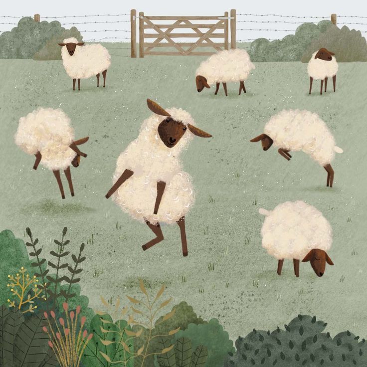 an illustration of several sheep in a field