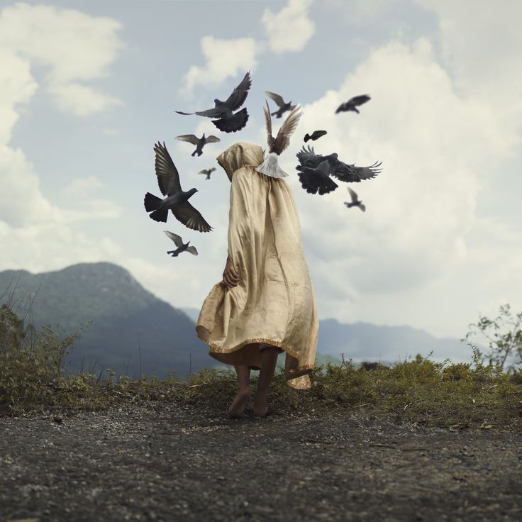 a woman standing on top of a hill surrounded by birds