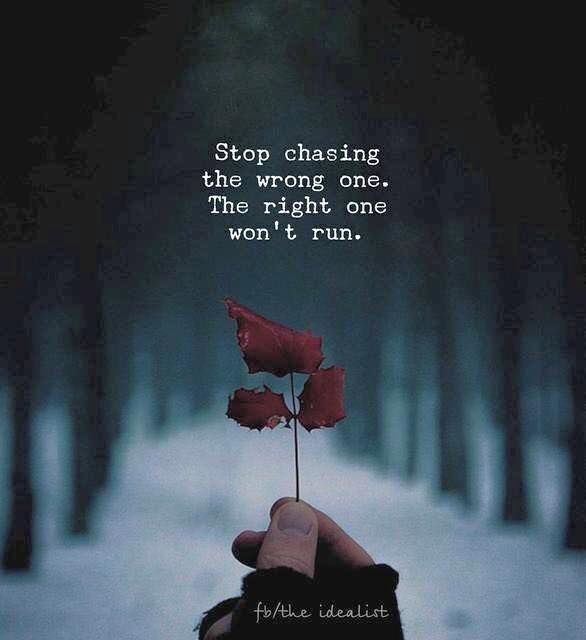 Stop Chasing The Wrong One. The Right One Won't Run Right One Quotes, The Right One Quotes, Favour Quotes, I Won't Beg, Stop Chasing, My Quotes, Reality Quotes, True Words, Psych