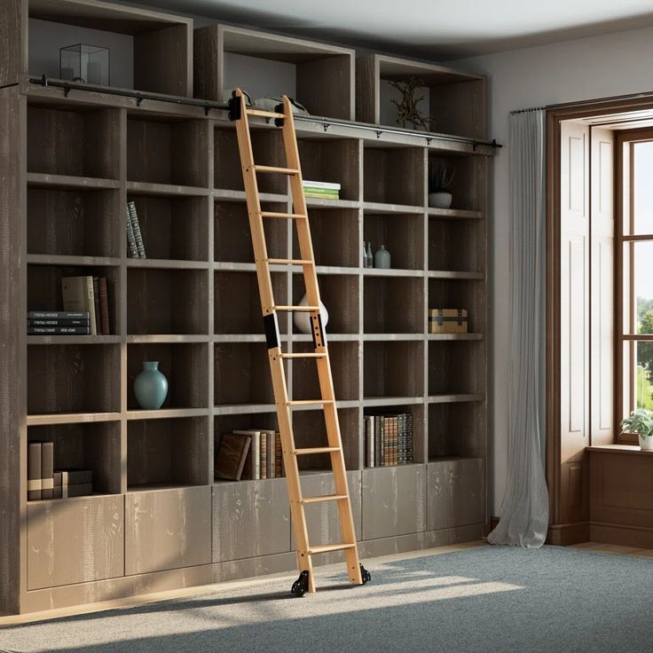 a ladder leaning against a bookshelf in front of a window