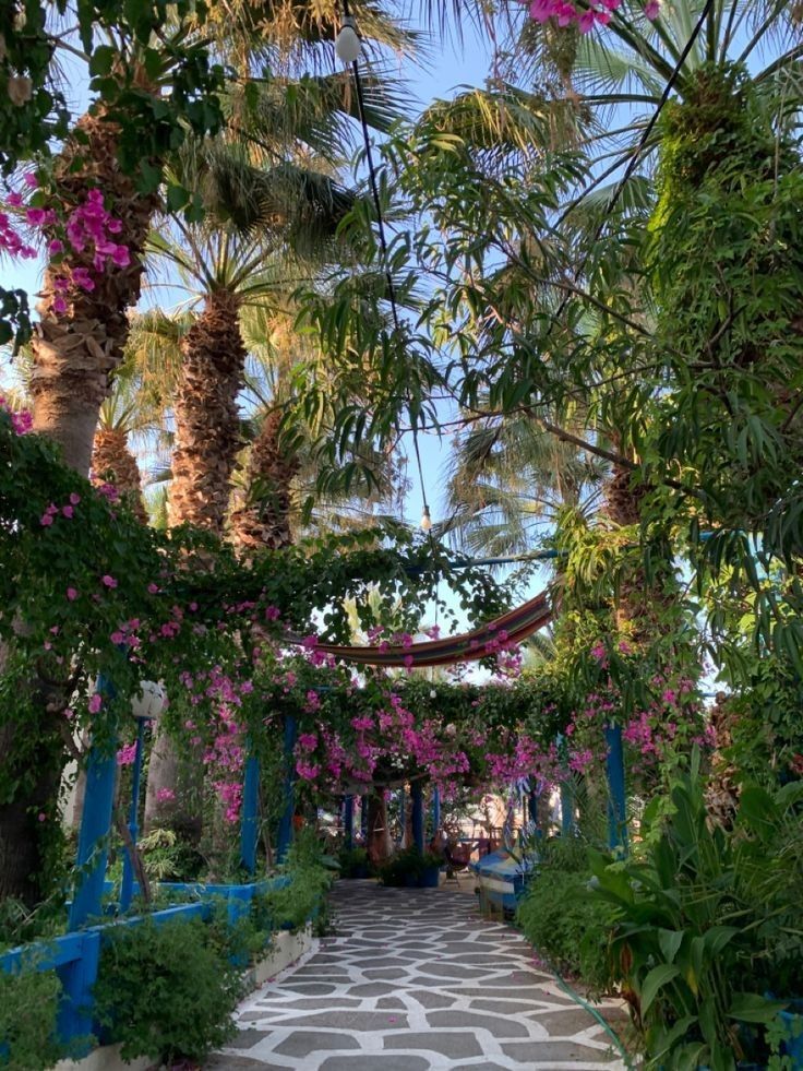 the walkway is lined with pink flowers and palm trees