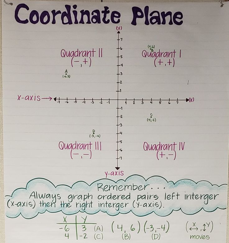 the coordinate plane is shown on a piece of paper