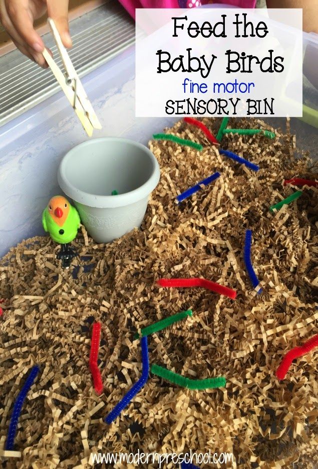 feed the baby birds with fine motor sensory bin