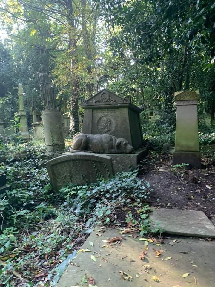 an old grave surrounded by greenery and trees