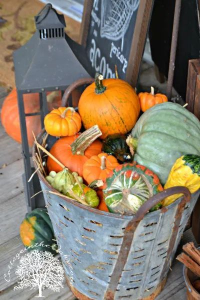 a basket filled with lots of different types of pumpkins