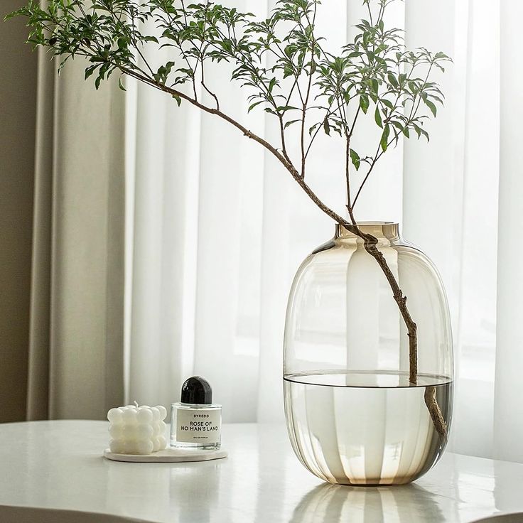 a plant in a glass vase on a table