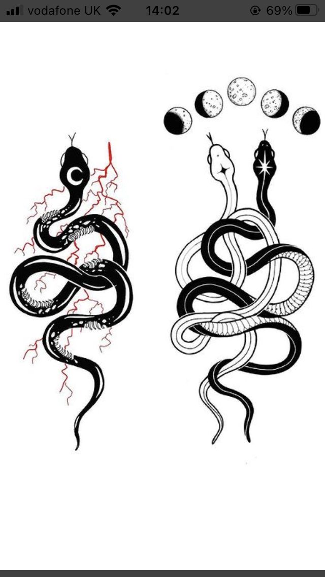 two black and white snakes with red ink on them, one in the shape of a snake