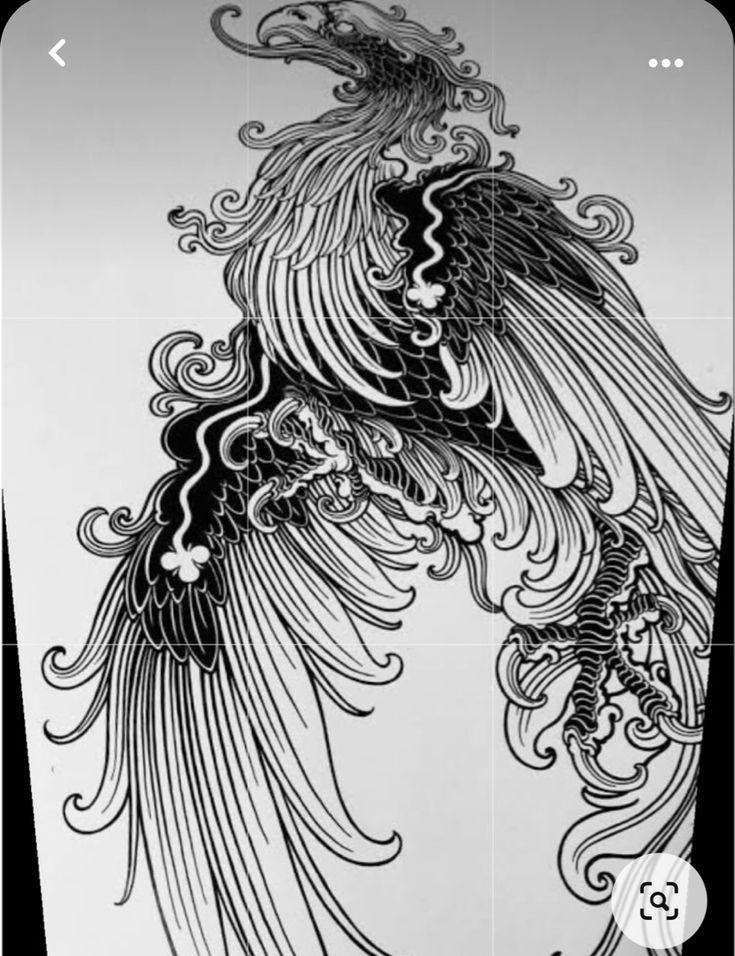 black and white drawing of an intricate bird