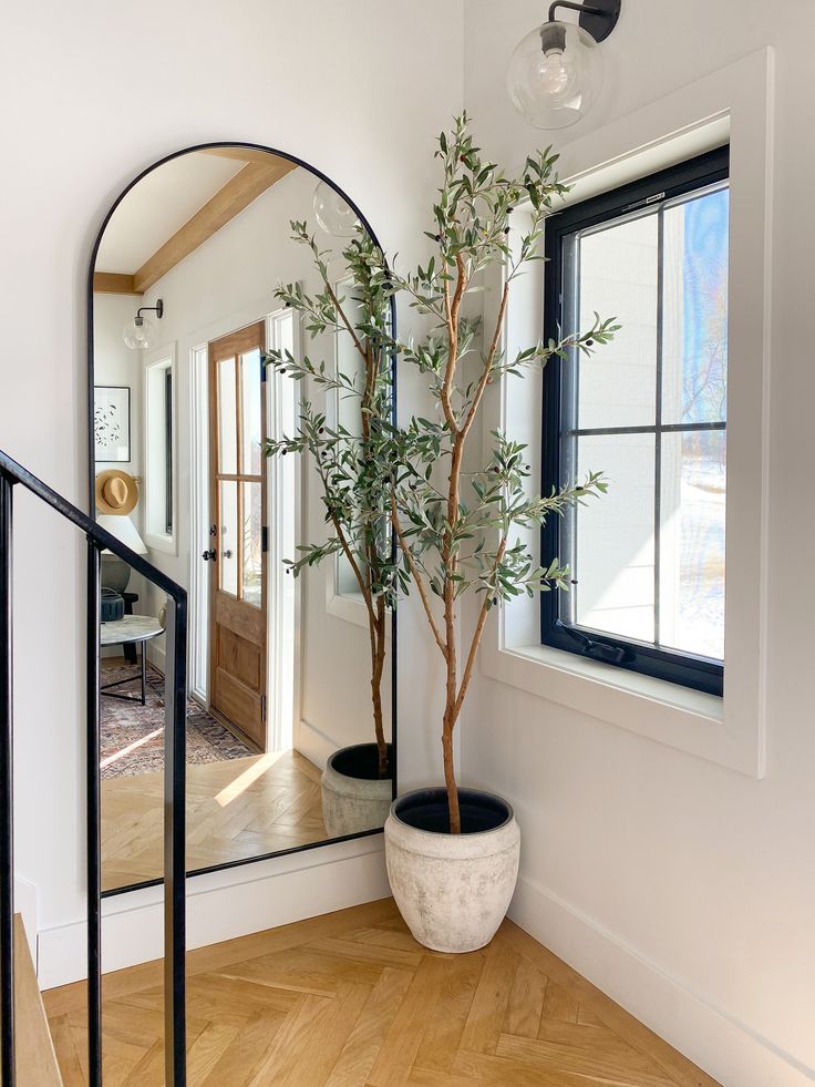 a potted plant sitting on top of a wooden floor in front of a mirror