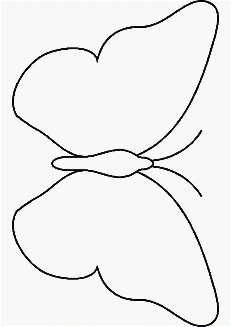 the outline of a butterfly with wings