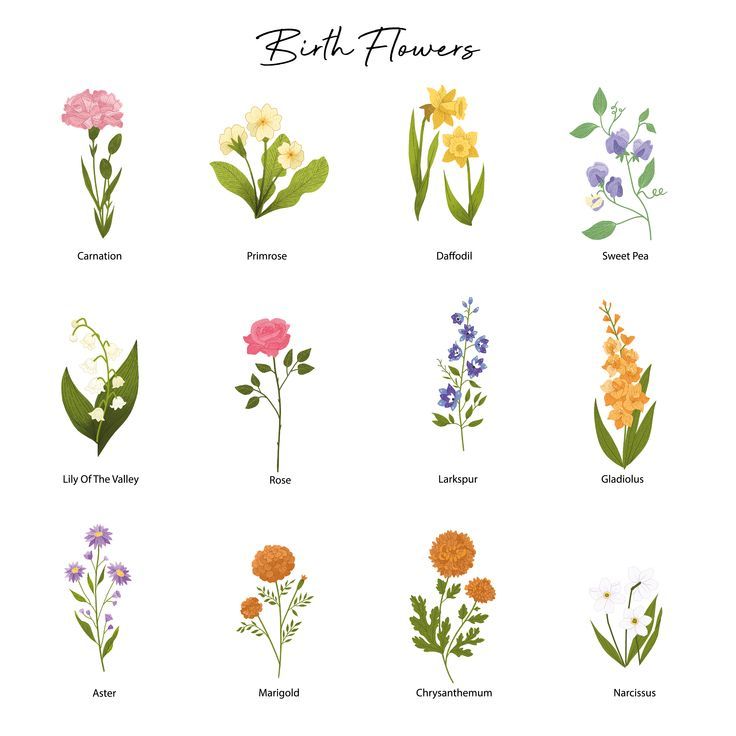 the different types of flowers are shown in this image, with each flower's name on