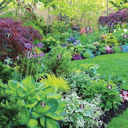 a garden filled with lots of different types of flowers and plants growing in the grass