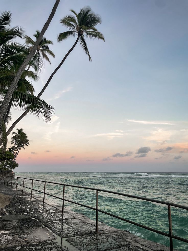 palm trees line the beach as the sun sets