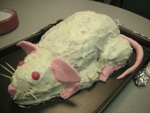 a cake shaped like a rat on top of a pan