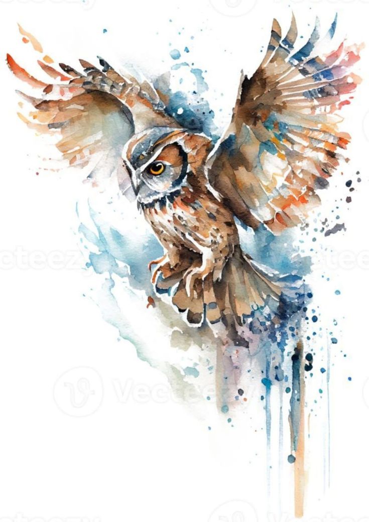 There Is Always A Way, Bird Watercolor Art, Animal Tattoo Ideas, Owl Painting, In The Darkness, Alcohol Ink Art, Realistic Art, Owl Art, Watercolor Bird