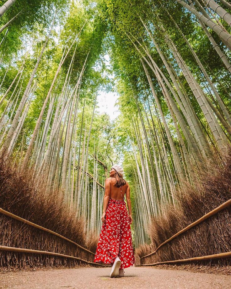 a woman standing in the middle of a bamboo forest