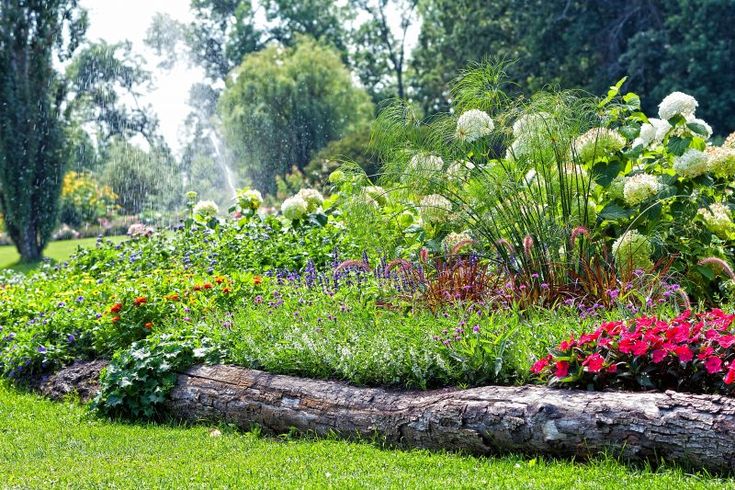 the garden is full of colorful flowers and greenery, with a water sprinkler in the background