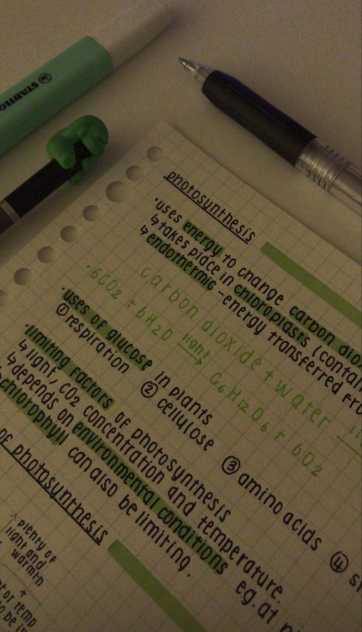 Notes
Notes ideas
Notes aesthetic
Pretty notes
Study aesthetic
Inspo notes
Organization
Study
Apuntes
Ideas de apuntes
Apuntes aesthetic
Estudio estético
Organización de apuntes
Apuntes bonitos
Inspiración para apuntes Aesthetic Notes Ideas School Simple, Organized Notes Aesthetic, Midliner Notes Ideas, Study Notes Aesthetic Ideas, Notes Ideas Study Aesthetic, Revision Notes Aesthetic, School Notes Aesthetic Ideas, Aesthetic Notes Ideas School, Aesthetic School Notes Ideas