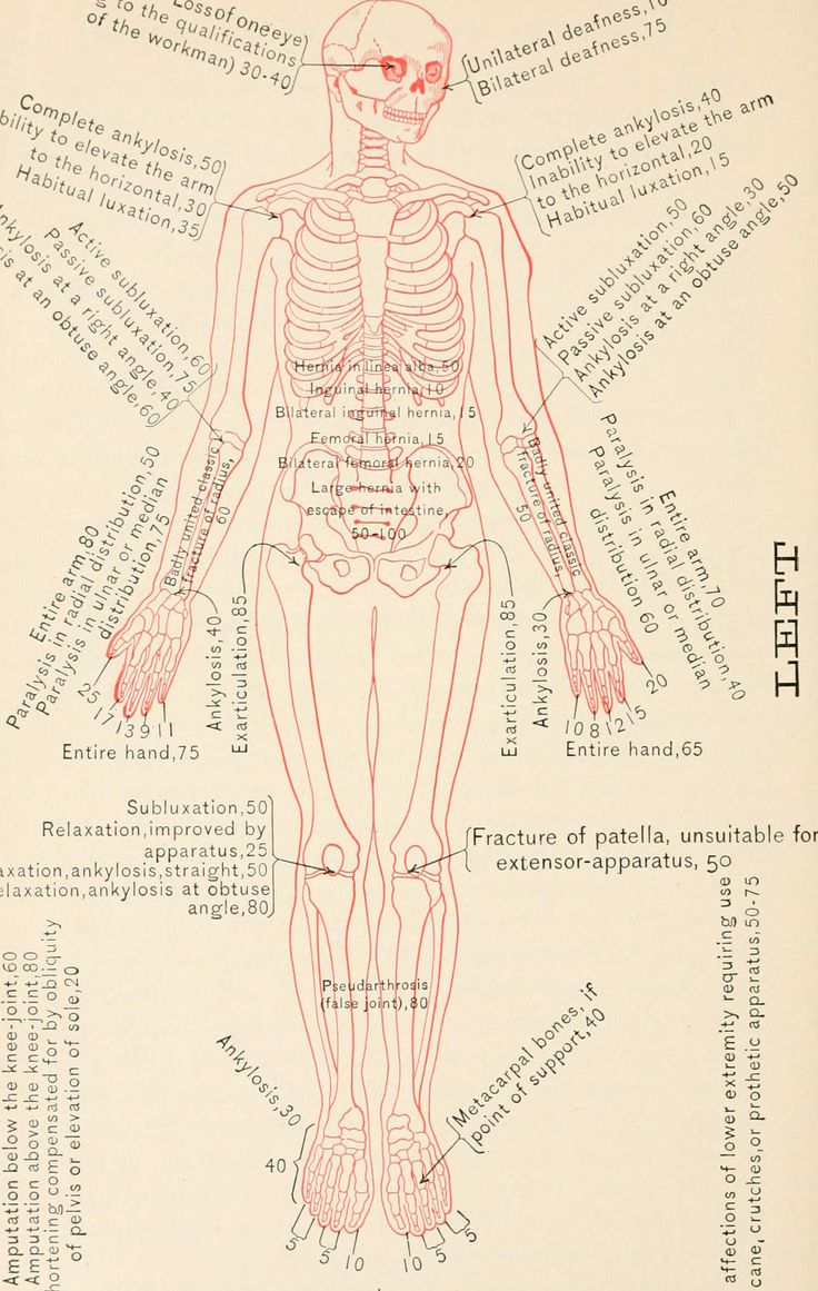 All sizes | Image from page 429 of "The medical examination for life insurance and its associated clinical methods : with chapters on the insurance of substandard lives and accident insurance" (1905) | Flickr - Photo Sharing! Medical Examiner, Forensic Psychiatrist, Medical Science Liaison, Forensic Pathology Career, Forensic Medical Examiner, Clinical Judgment Nursing, Accident Insurance, Life After College, Medical Examination