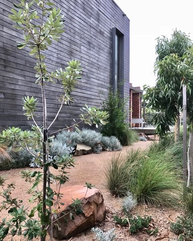 an outdoor area with plants, rocks and wooden fenced in area next to the building