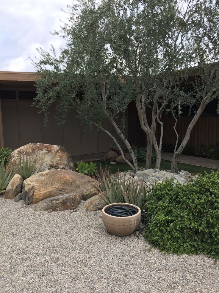 a garden with rocks and plants in it