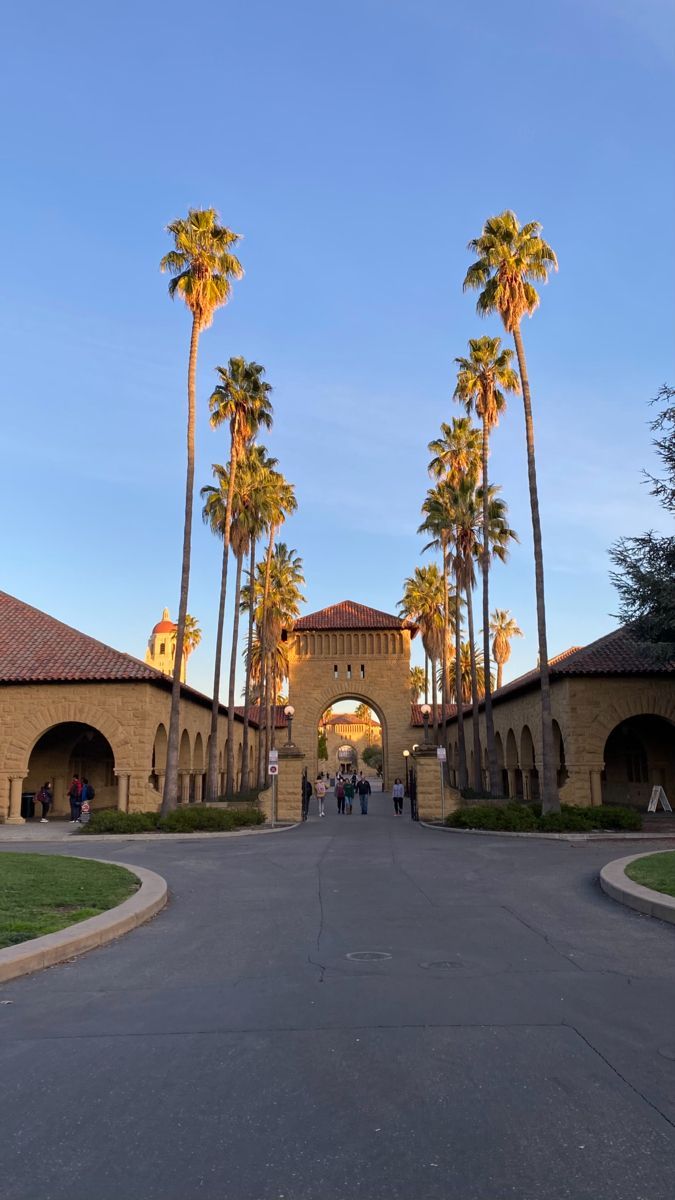 palm trees line the entrance to an old building with arches and arched doorways on either side