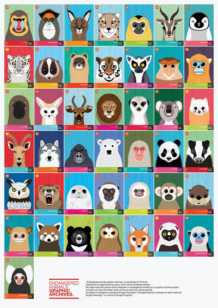 a poster with many different animals on it's sides, including dogs and cats