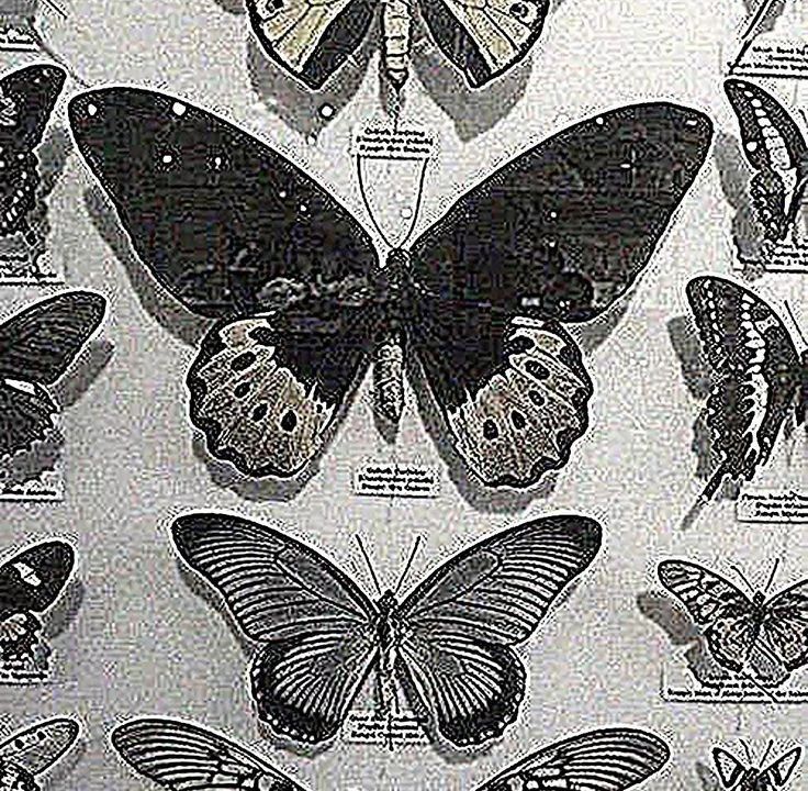 an image of many different butterflies in black and white colors on a sheet with information about them