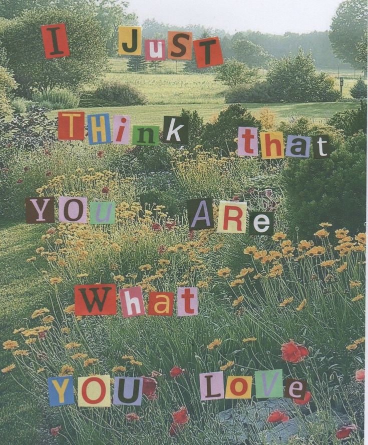 a field with flowers and words that spell out what you are, i just think that you are what you love